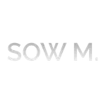mamadou-sow.com